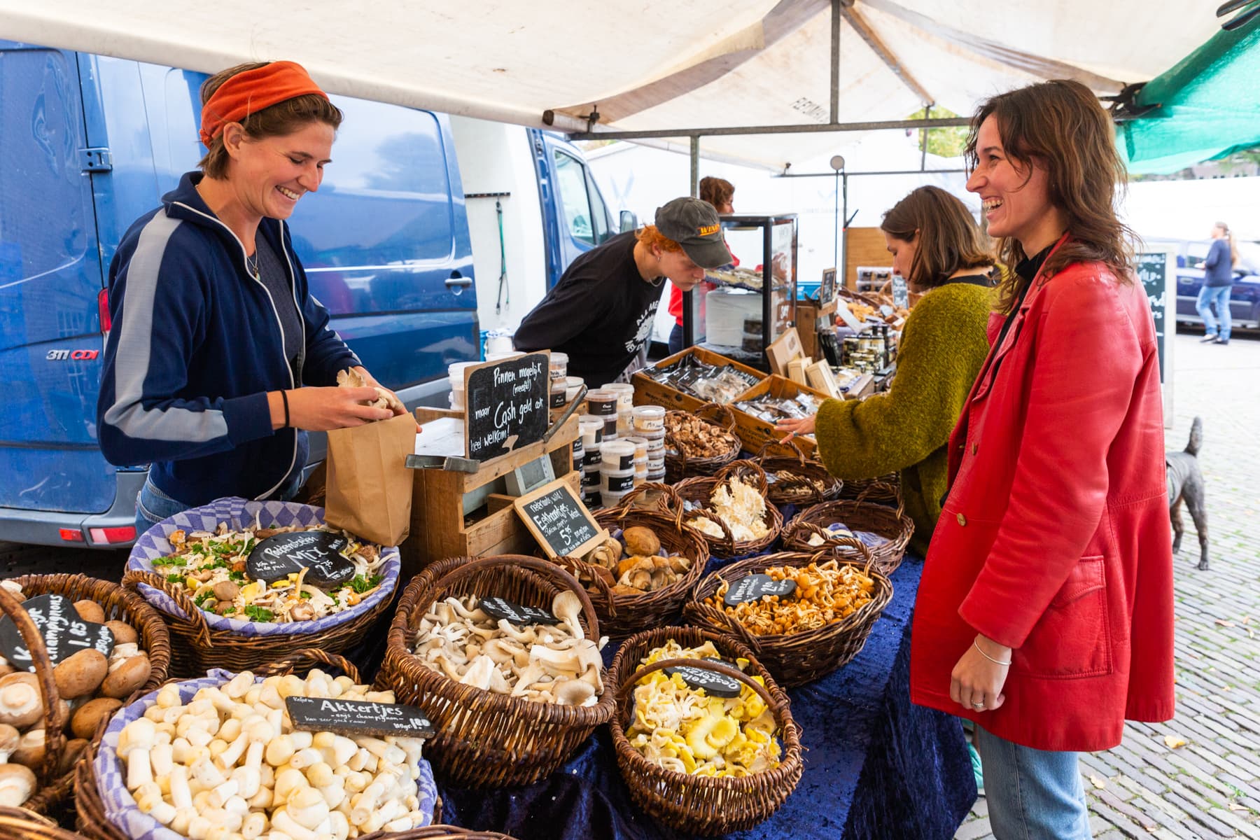 Vesps favorites: Portabella